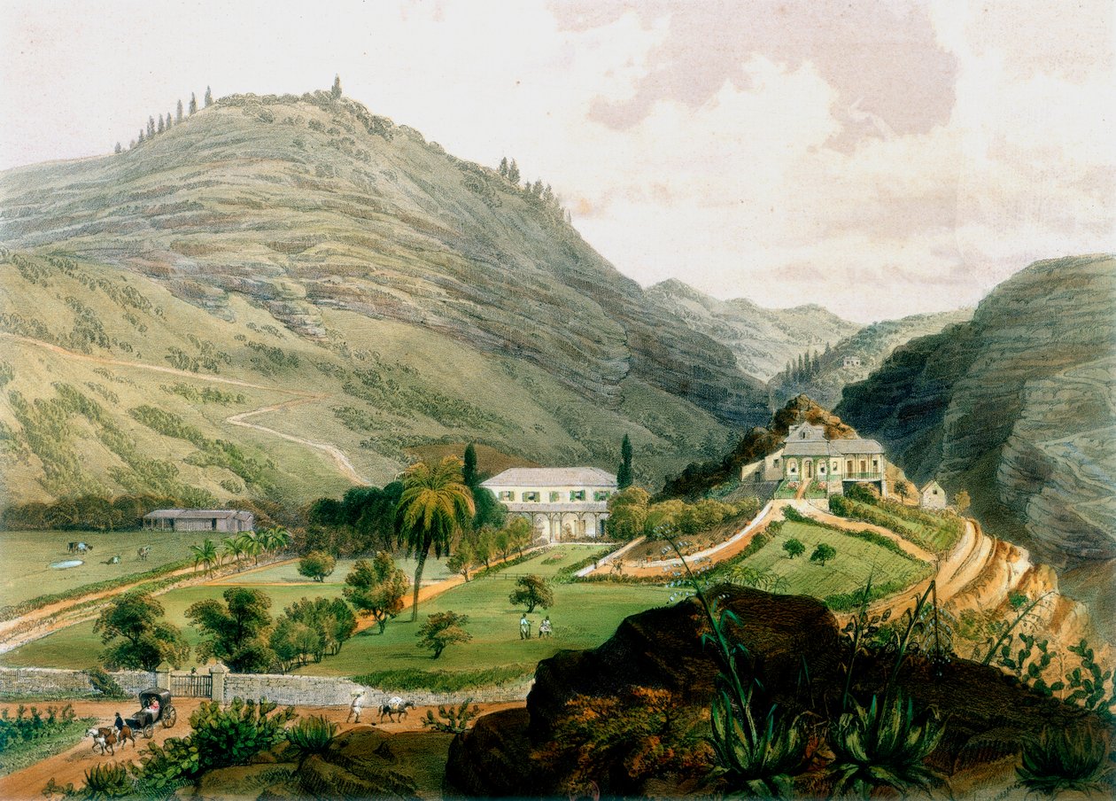 The Briars, St Helena, tidigt 1800-tal 1851 av Unbekannt
