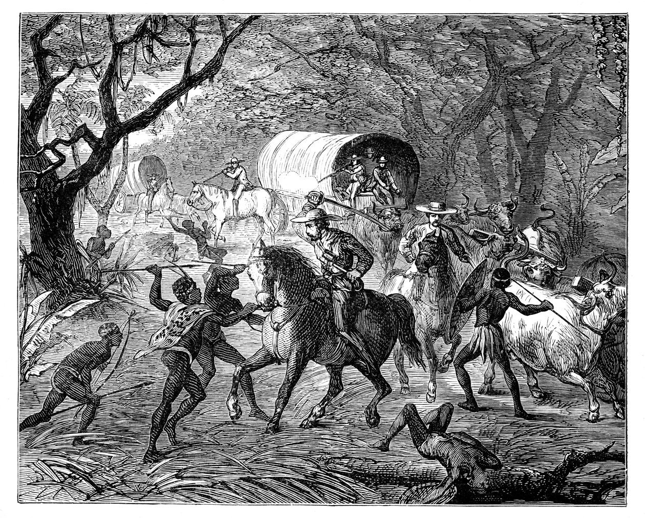 The Caffre War: Infödda attackerar en konvoj, 1800-talet av Unbekannt