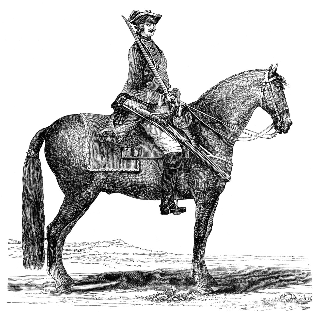 Kavaljeren, 1885 av Unbekannt