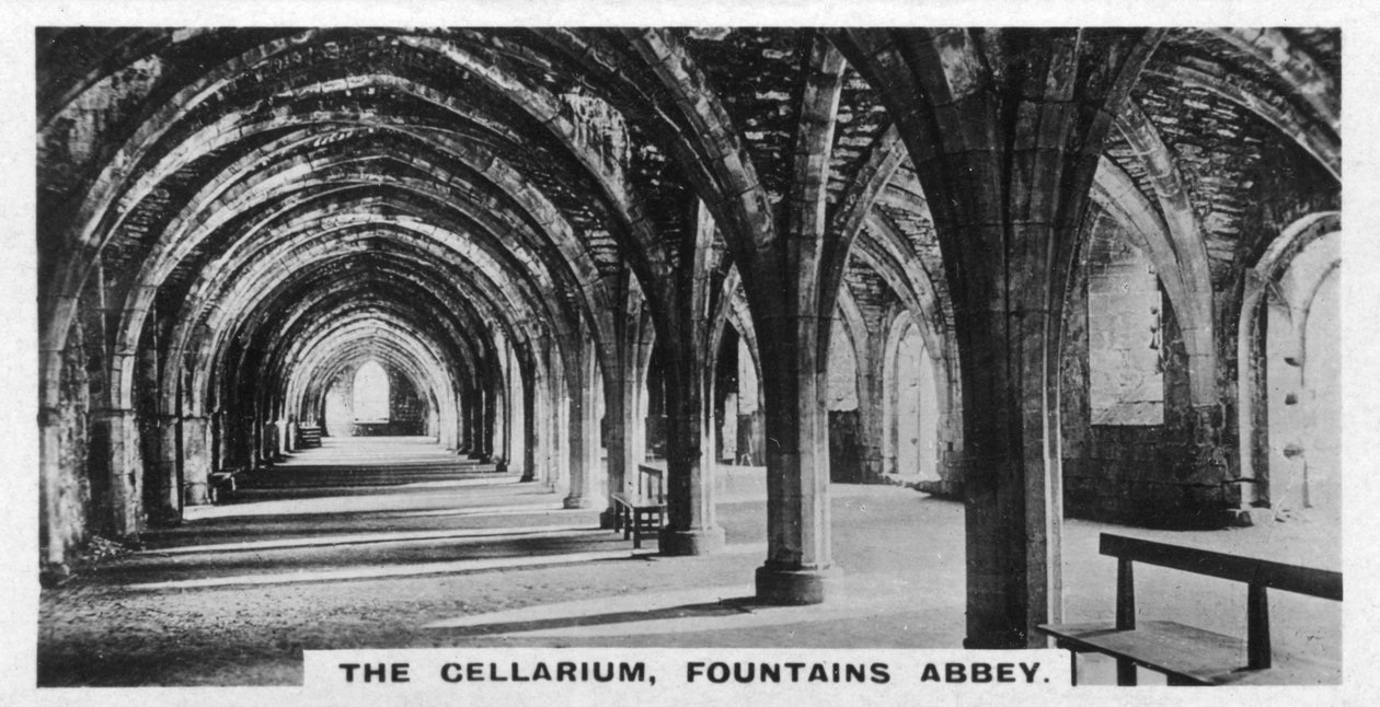 The Cellarium, Fountains Abbey, Yorkshire, c1920-talet av Unbekannt