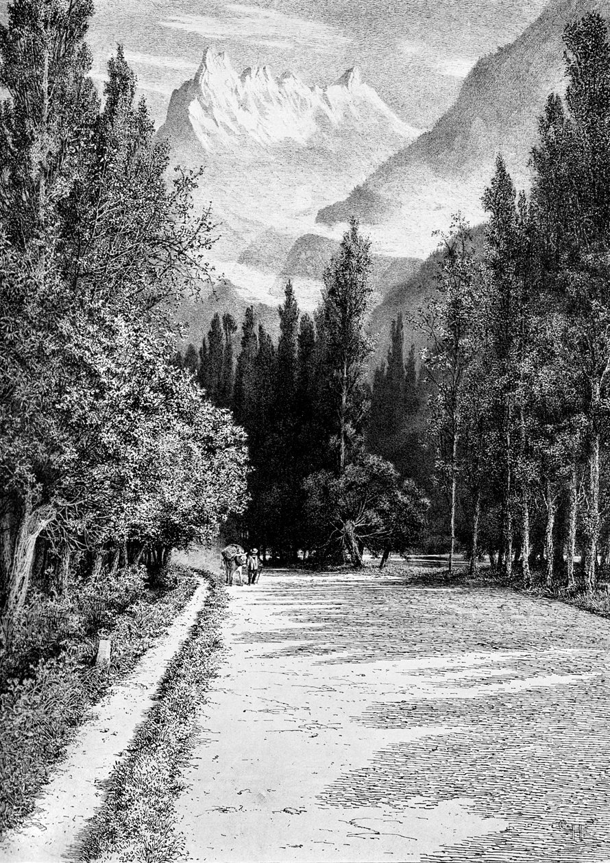 Dent du Midi från Rhônedalen, 1900 av Unbekannt