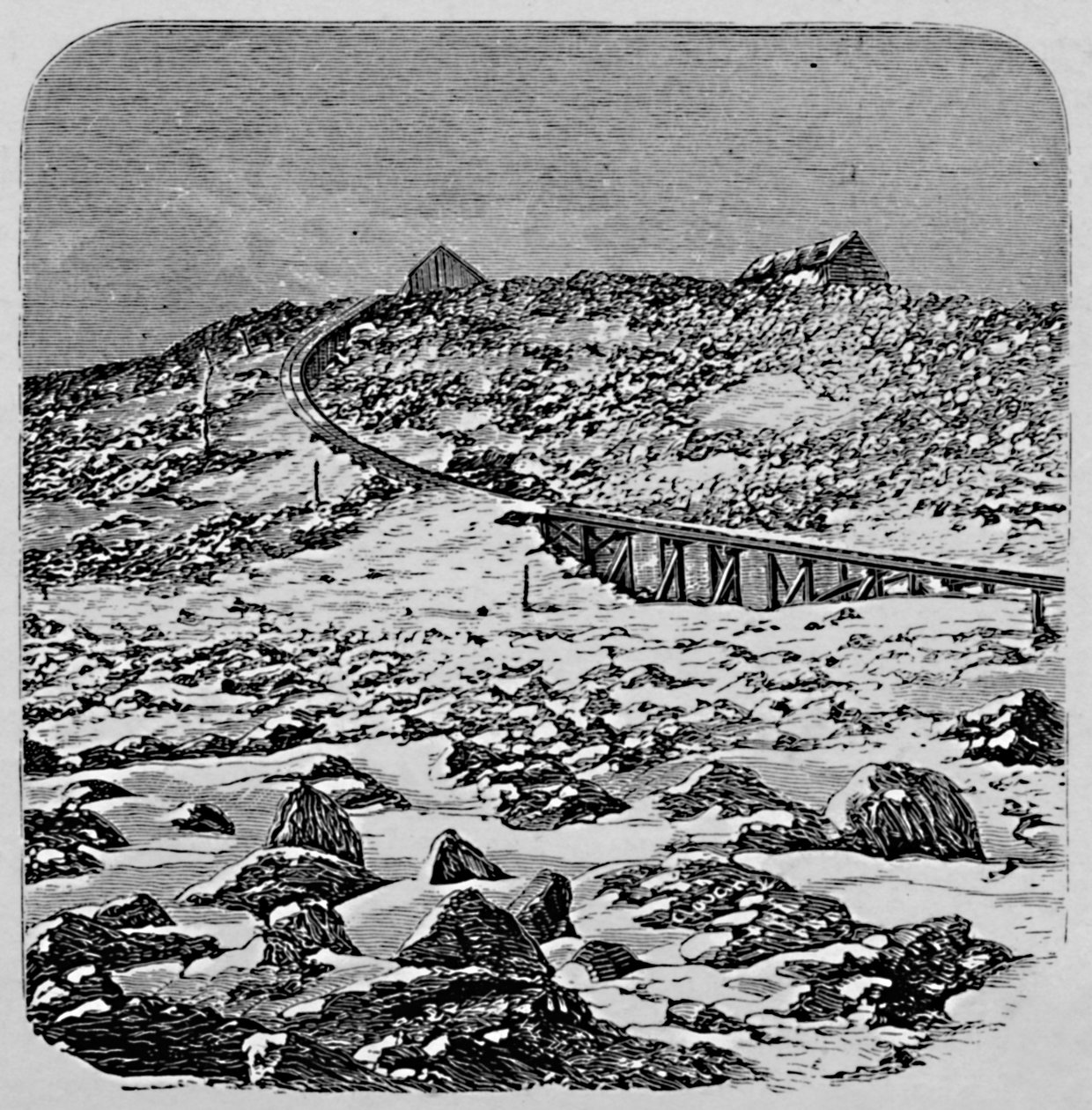 The Depot and Summit House, Mount Washington, 1883 av Unbekannt