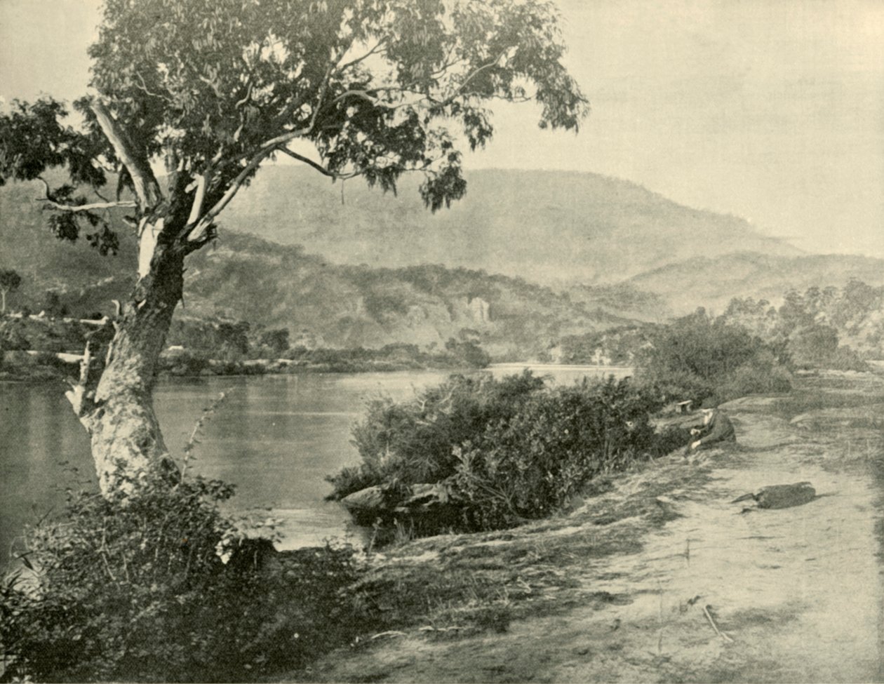 The Derwent i New Norfolk, 1901. av Unbekannt