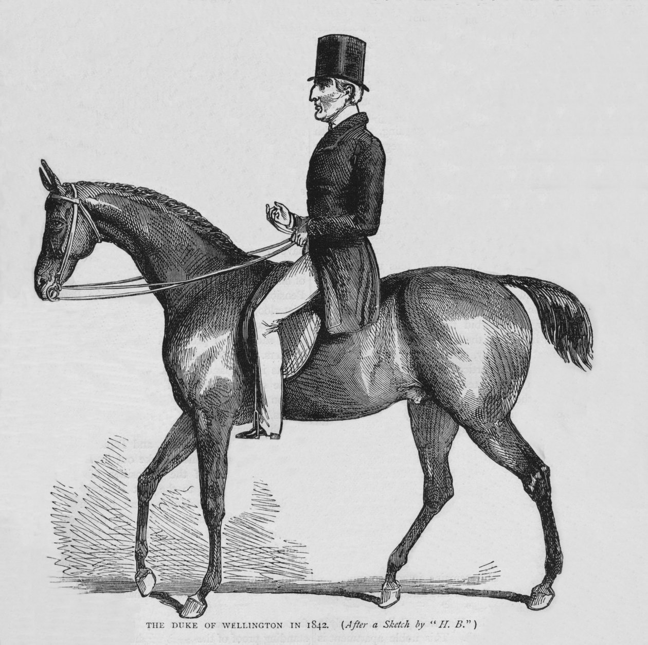 Hertigen av Wellington, c1842 1878 av Unbekannt