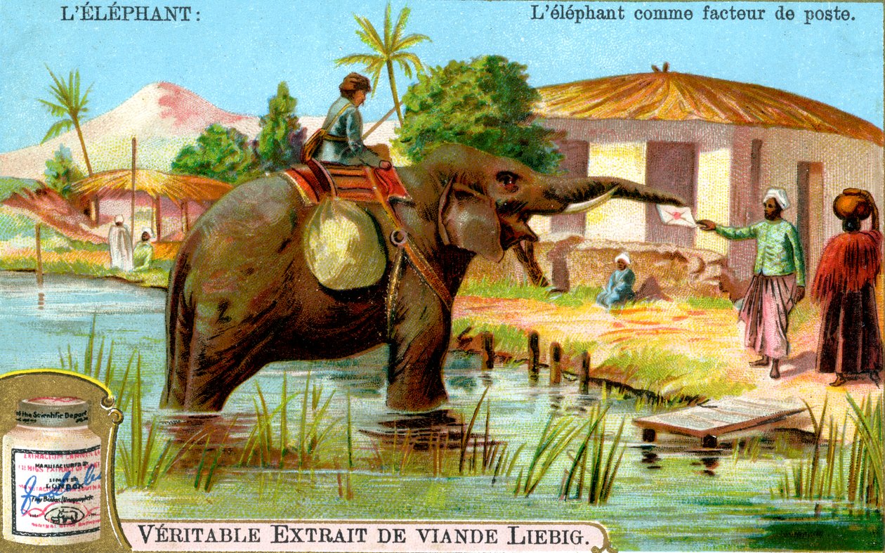 Elefanten som brevbärare, c1900 av Unbekannt