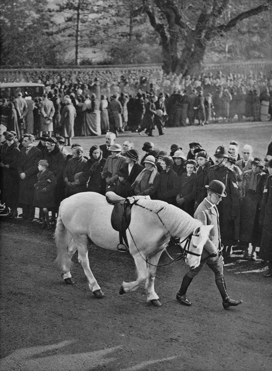 The Empty Sadel: King Georges vita ponny, Jock, leds i procession, 1936 av Unbekannt