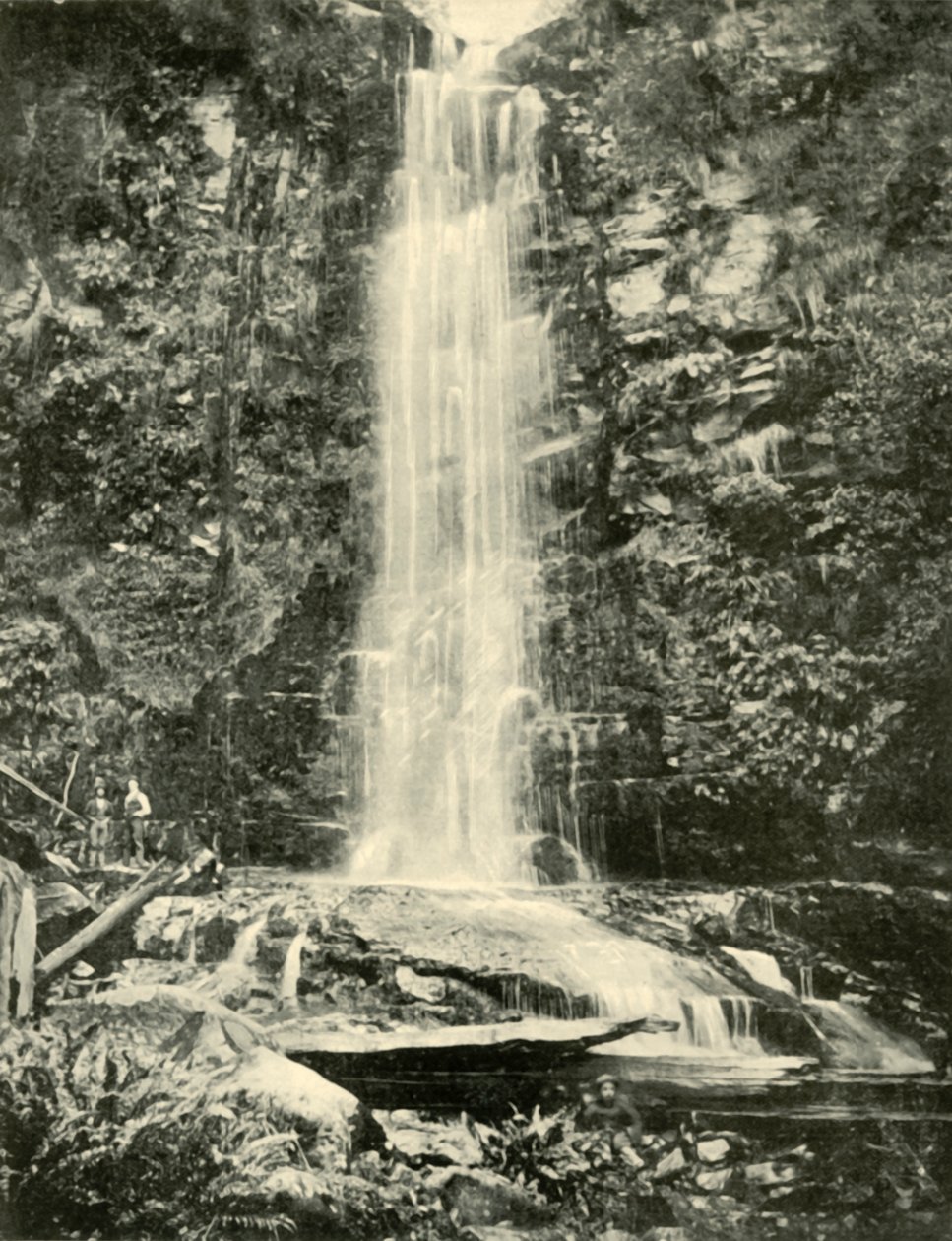 Erskine Falls, nära Lorne, 1901. av Unbekannt