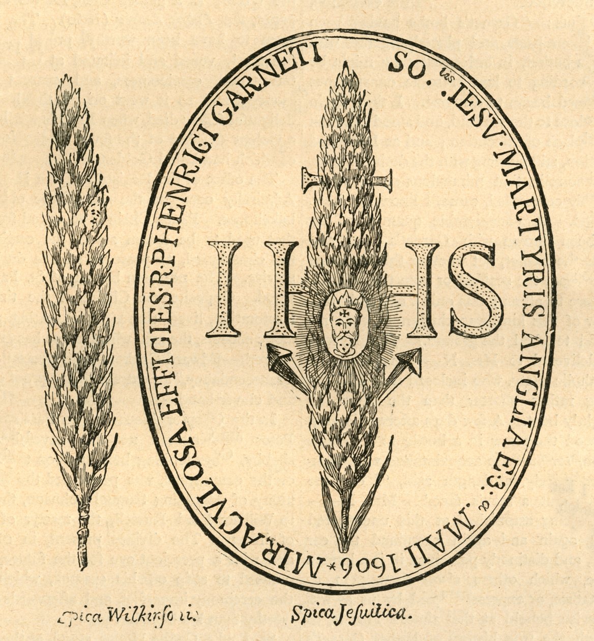 Ansiktet i halmen. - Från Abbots Anthologia, 1613, 1897. av Unbekannt