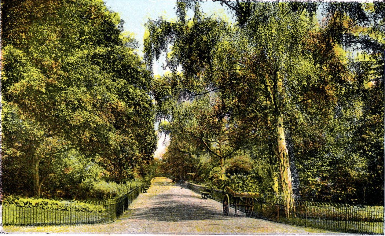 The Flower Walk, Kensington Gardens, London, 1900-talet av Unbekannt