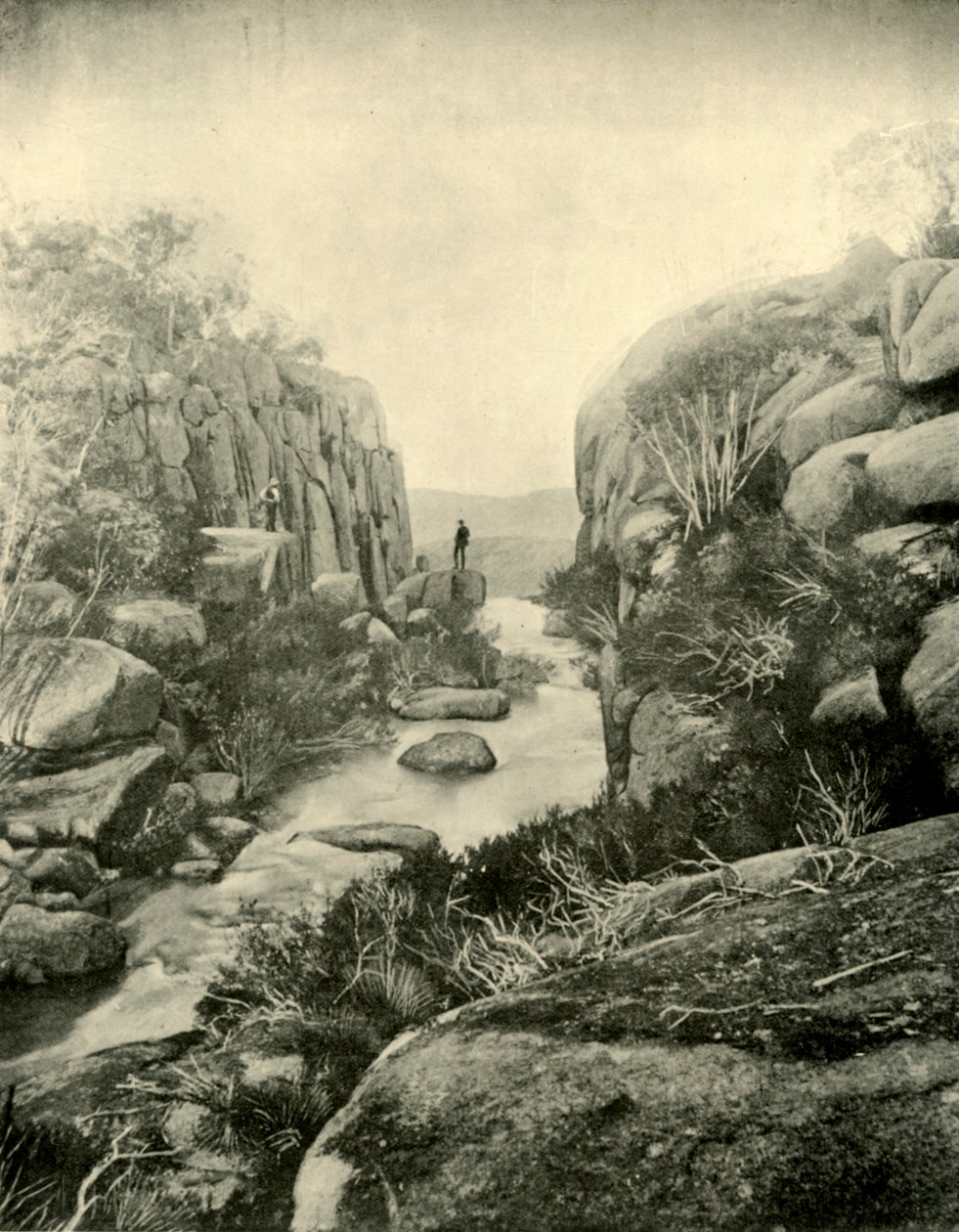 Gorge, Buffalo Falls, viktorianska alperna, 1901. av Unbekannt