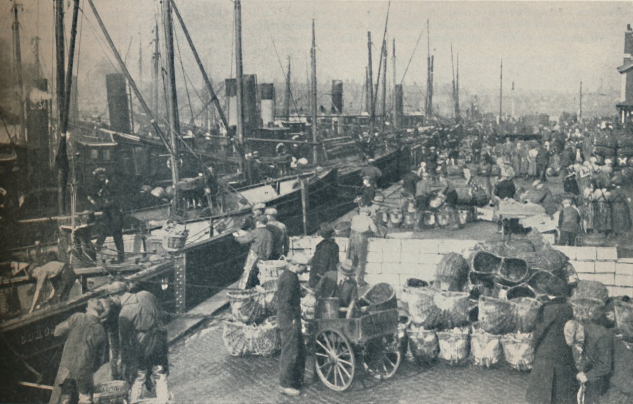 Sillsäsongen i full gång, 1937 av Unbekannt