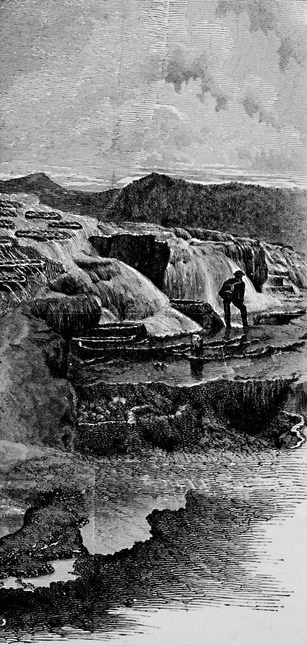 The Hot Springs nära Gardiners River, 1883 av Unbekannt