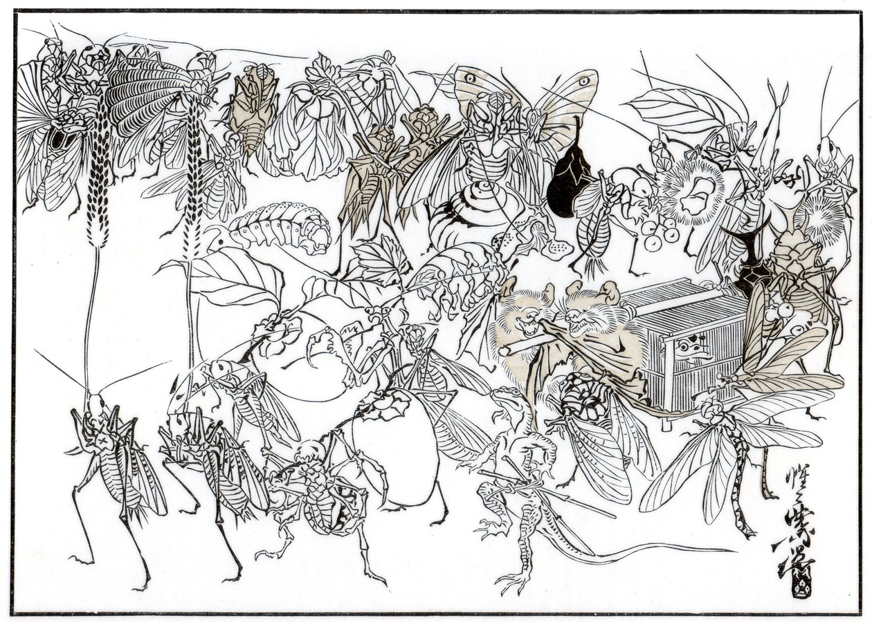Insekten Daimio Cortege, 1878 1886 av Unbekannt