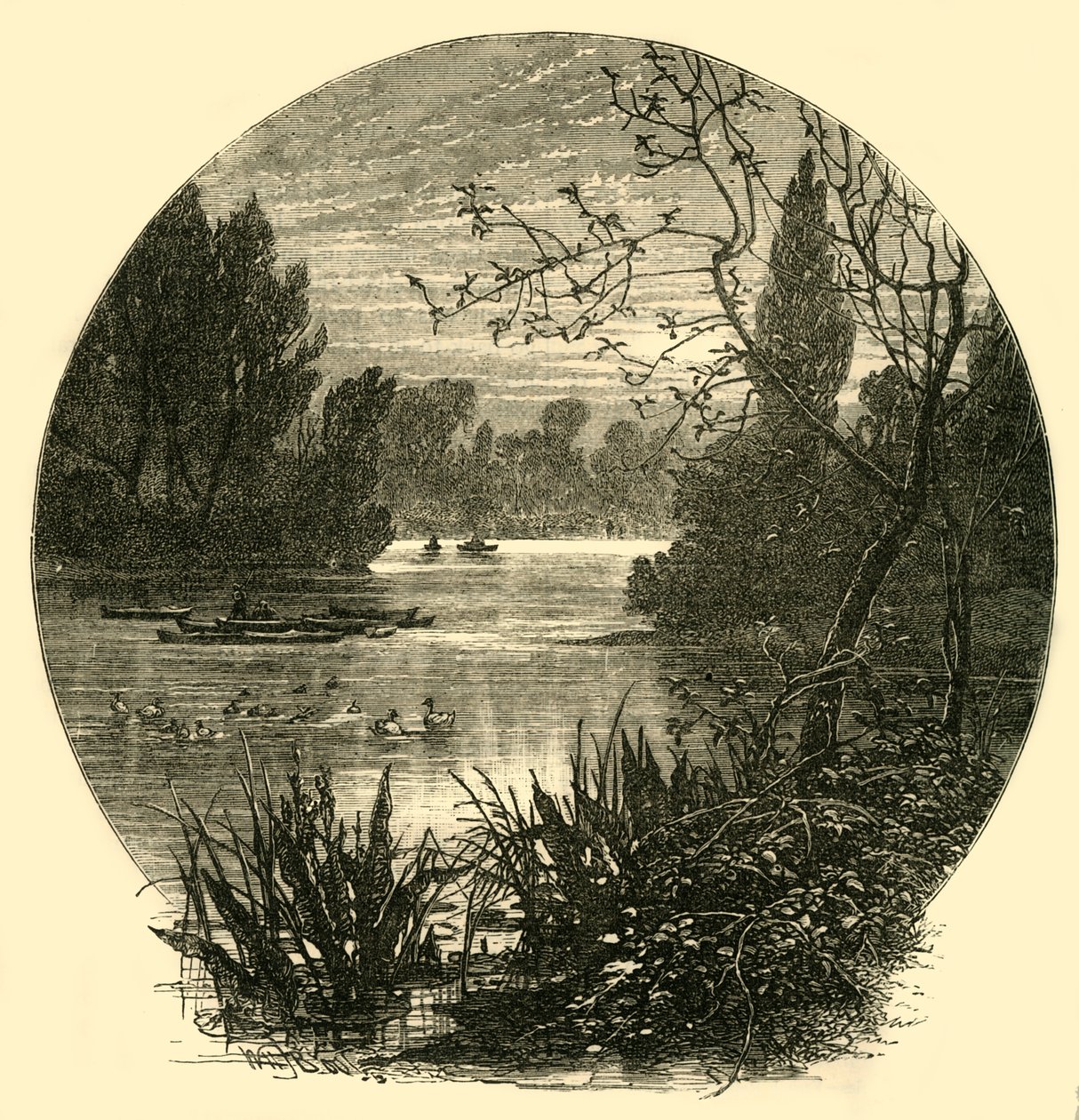 Sjön, Battersea Park, c1878. av Unbekannt