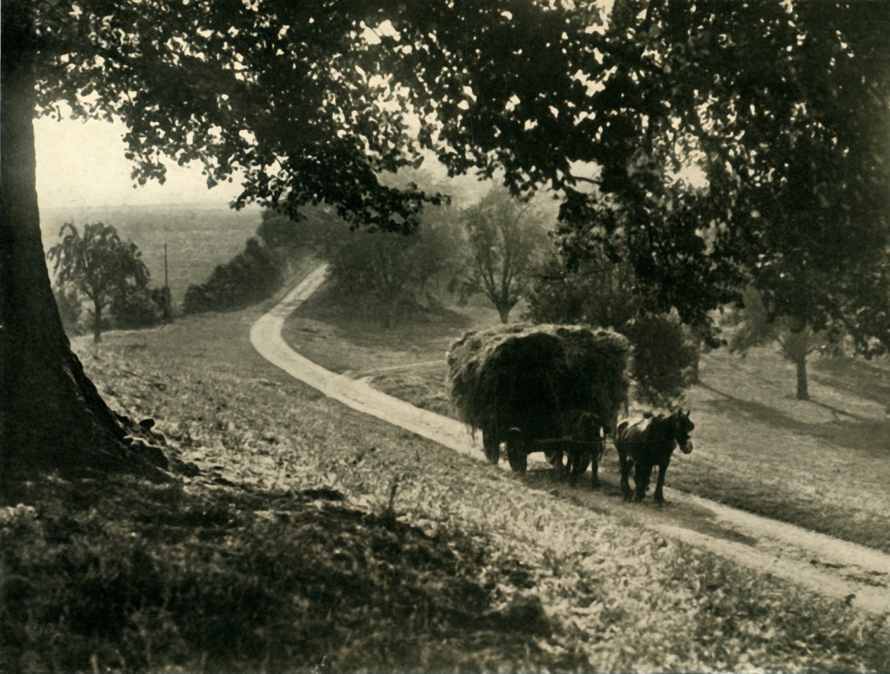 Den sista lasten, 1936. av Unbekannt