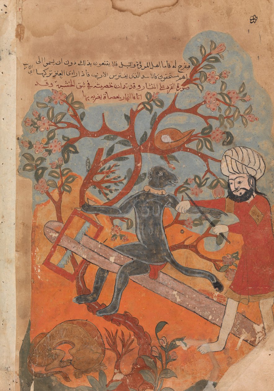 Apan försöker snickeri, Folio från en Kalila wa Dimna, 1700-tal. av Unbekannt