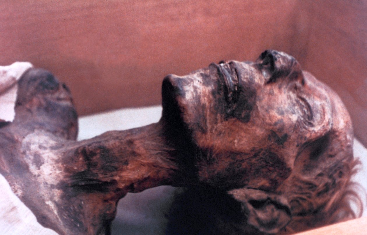 Mumien av Ramses II, Egypten, 1213 f.Kr av Unbekannt
