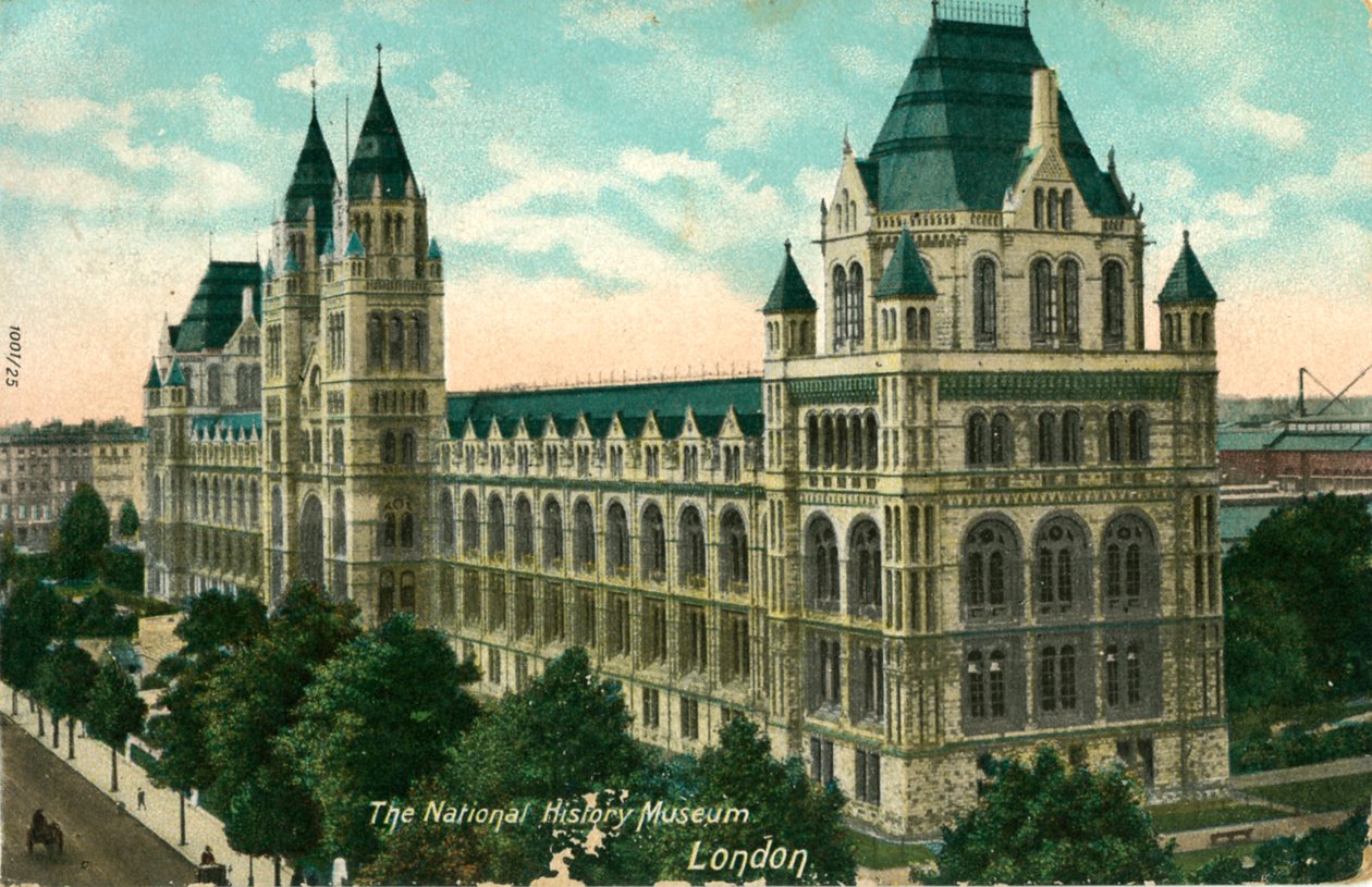 National History Museum, London, c1910. av Unbekannt