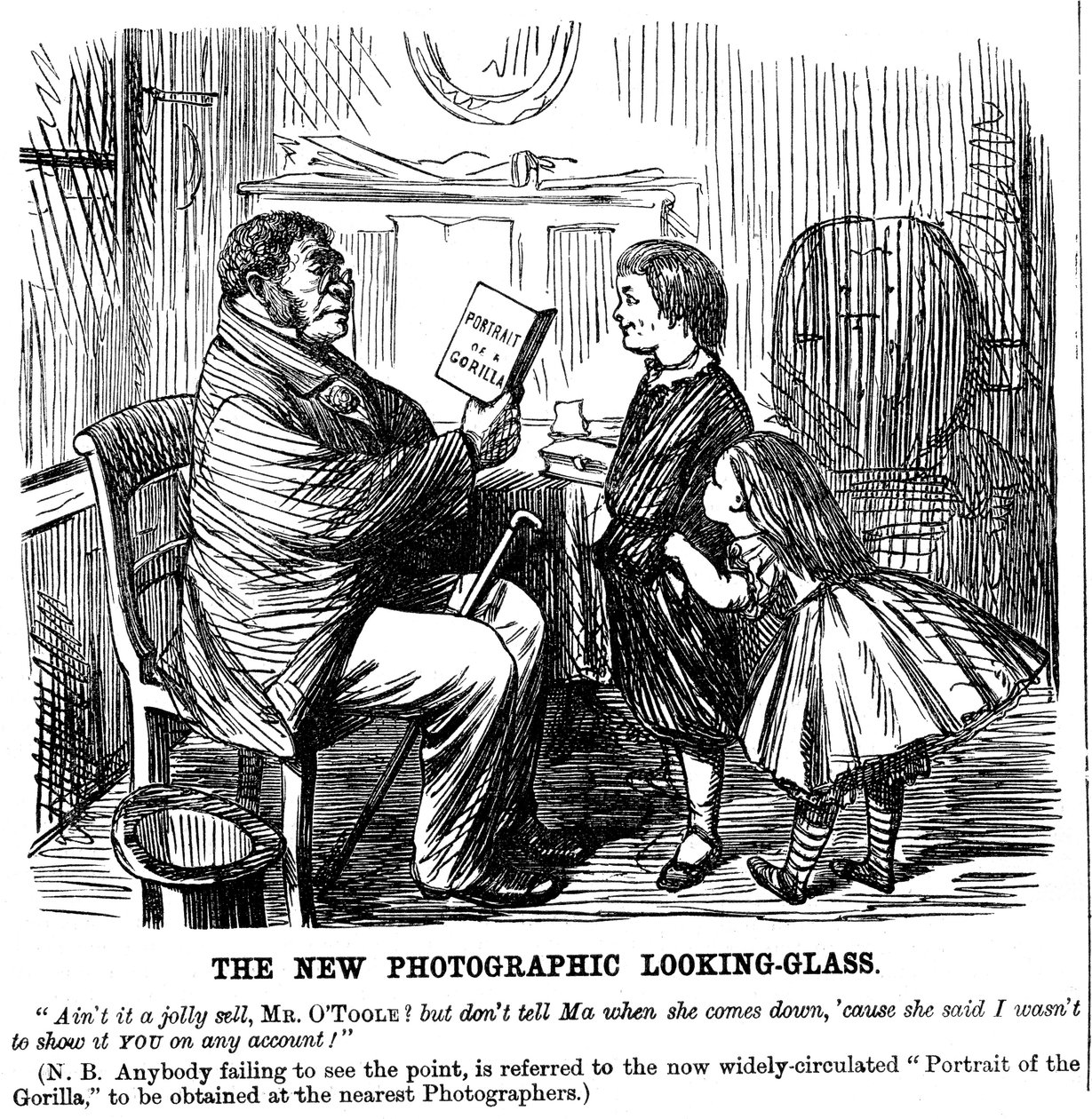 The New Photographic Looking Glass, tecknad film från Punch, vardagsbevis på människans ursprung, 1861 av Unbekannt