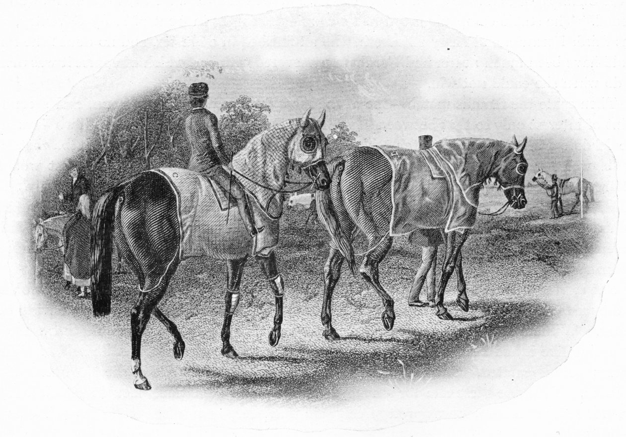 The Next Race, 1800-talet, 1911 av Unbekannt