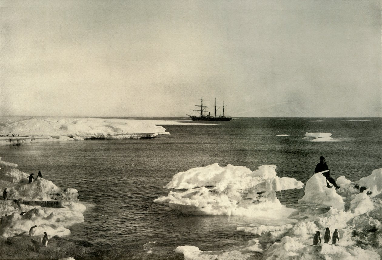 The Nimrod Liing Off The Penguin Rookery, c1908, 1909. av Unbekannt