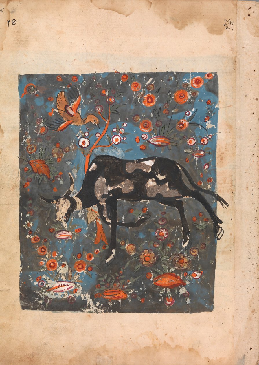 Oxen Shanzabeh kvarlämnad, betar i Lejonkungens territorium..., 1700-talet. av Unbekannt