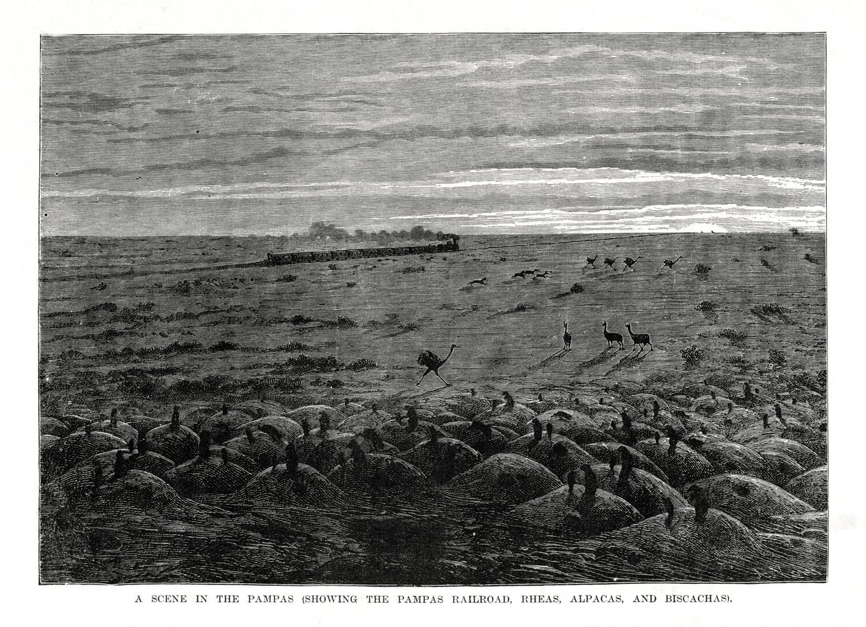 Pampas järnväg, sydamerikanska låglandet, 1877 av Unbekannt