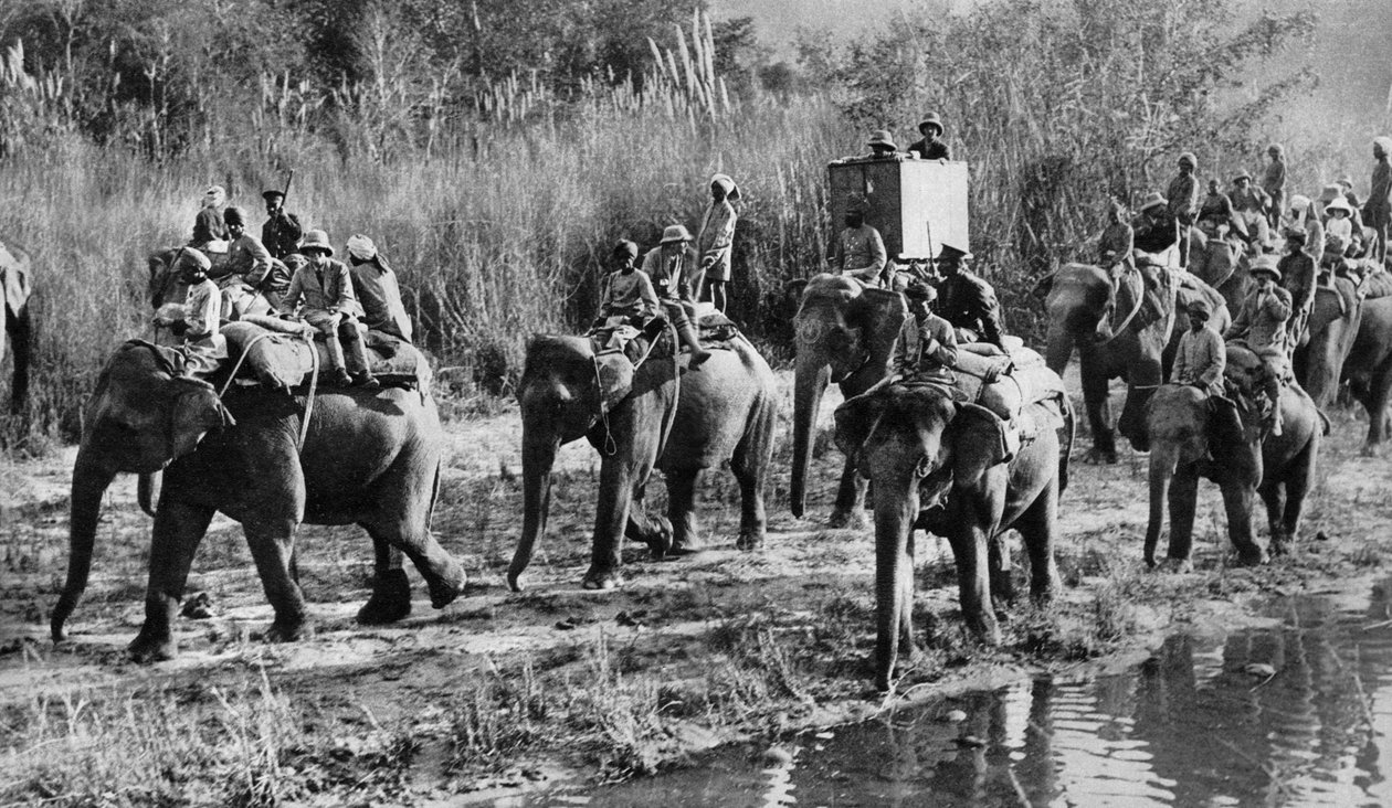 Prince of Wales tigerskjutning i Indien 1921 av Unbekannt
