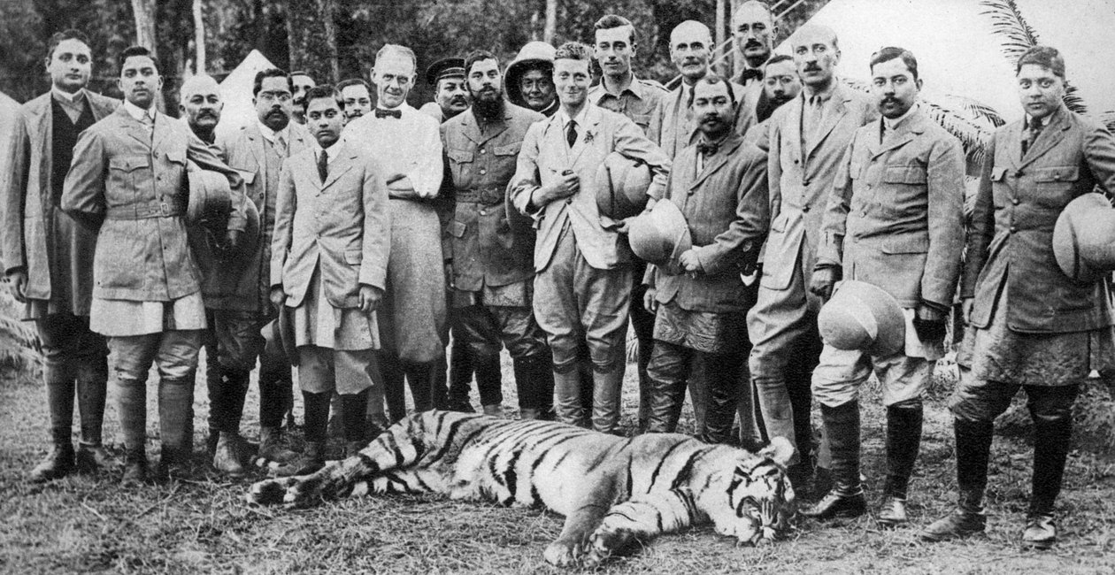 Prince of Wales tigerskjutning i Nepal, Indian Tour, 1921 av Unbekannt