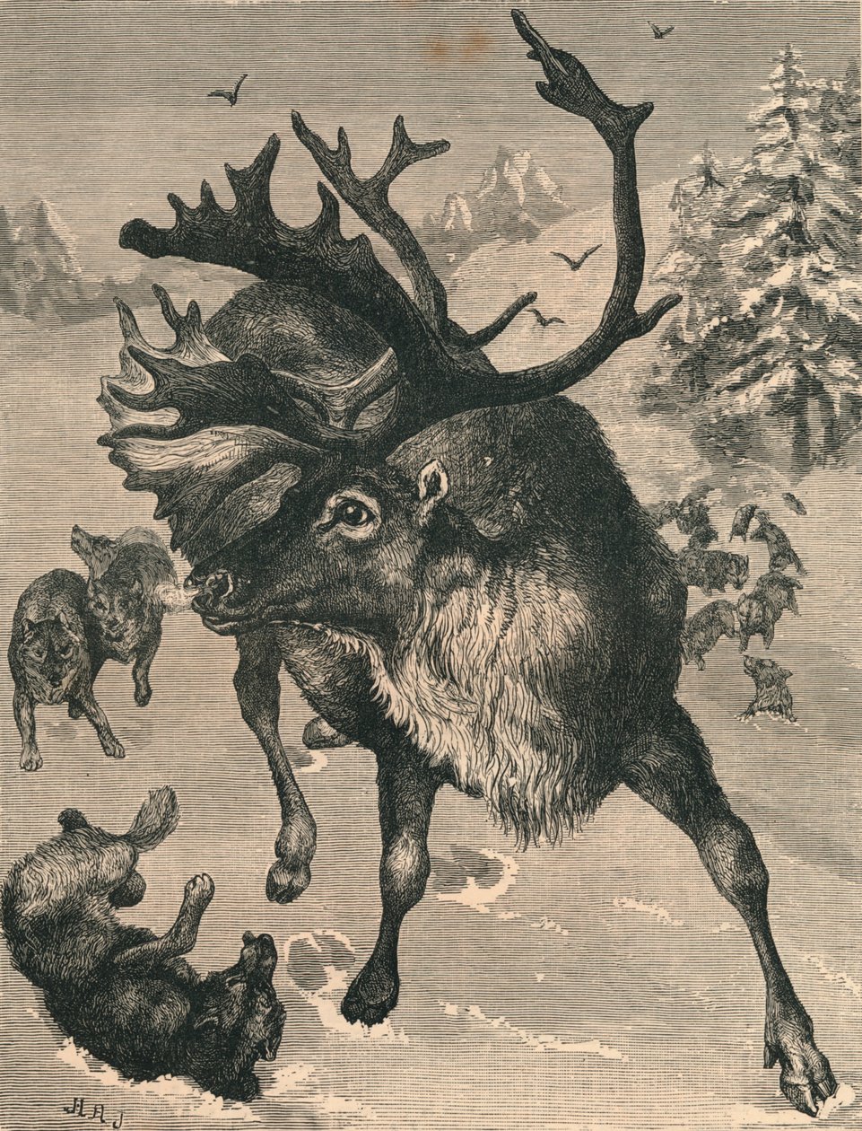 Renen, c1800-talet av Unbekannt
