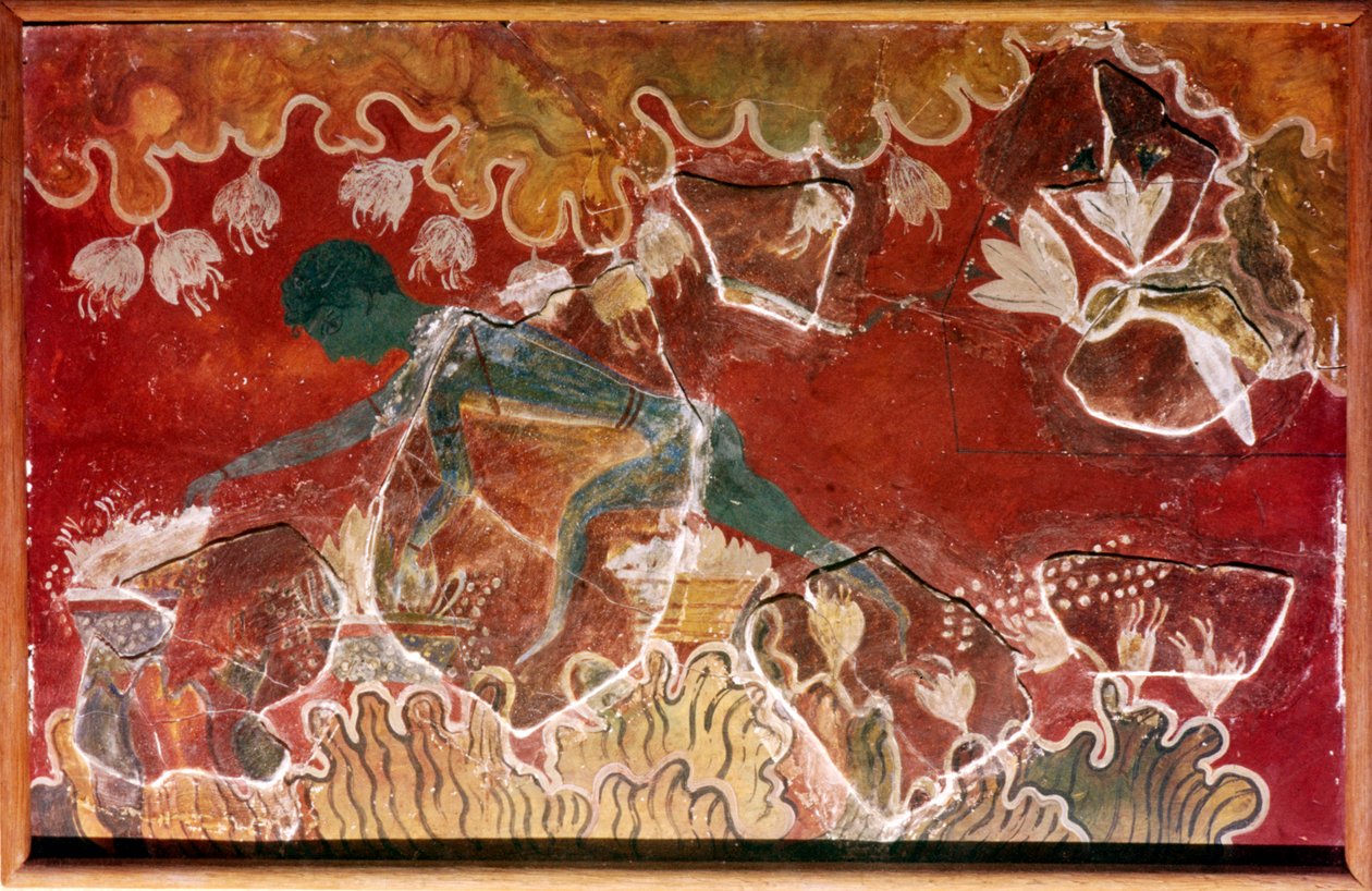 Saffran-samlarfresken från det minoiska kungliga palatset, Knossos, Kreta. c1400-talet f.Kr av Unbekannt