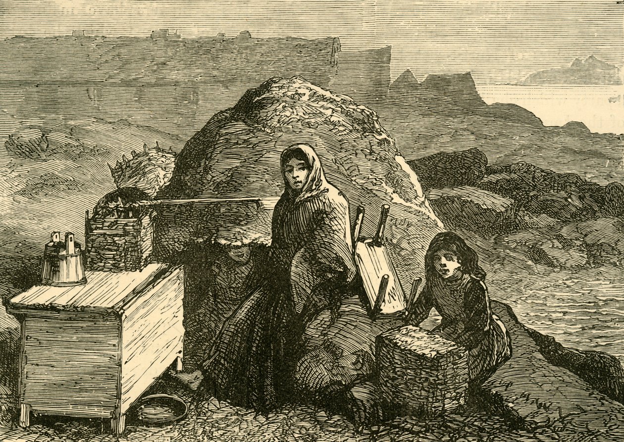 The State of Ireland: An Evicted Family Near Errismore, c1880. av Unbekannt
