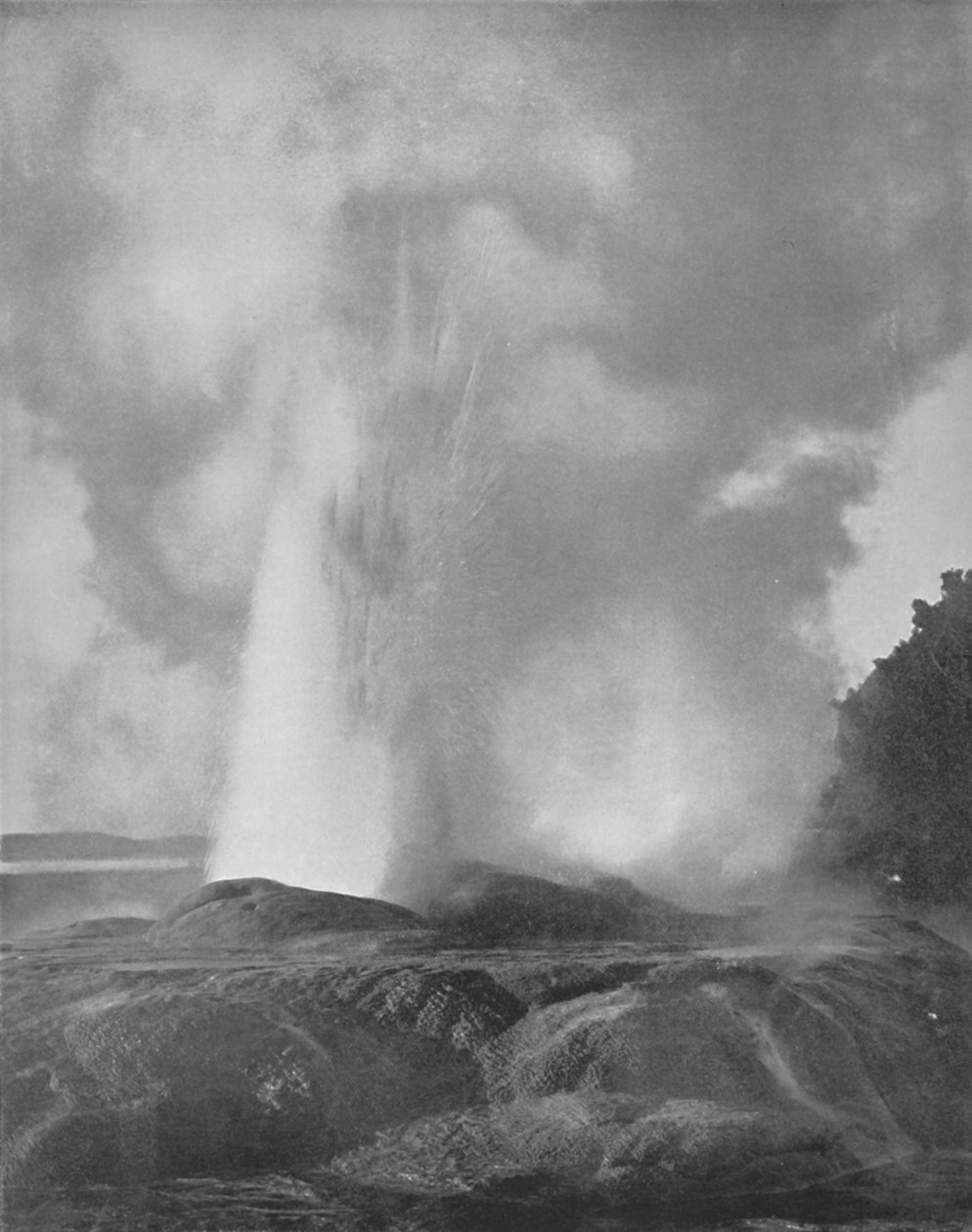 Waikite Geyser, 1800-talet av Unbekannt