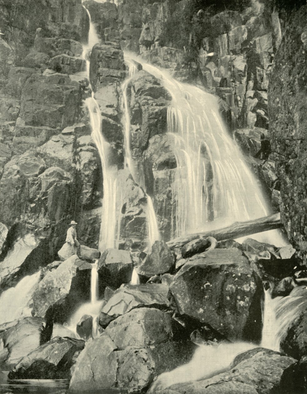 Wellington Falls, Mount Wellington, 1901. av Unbekannt