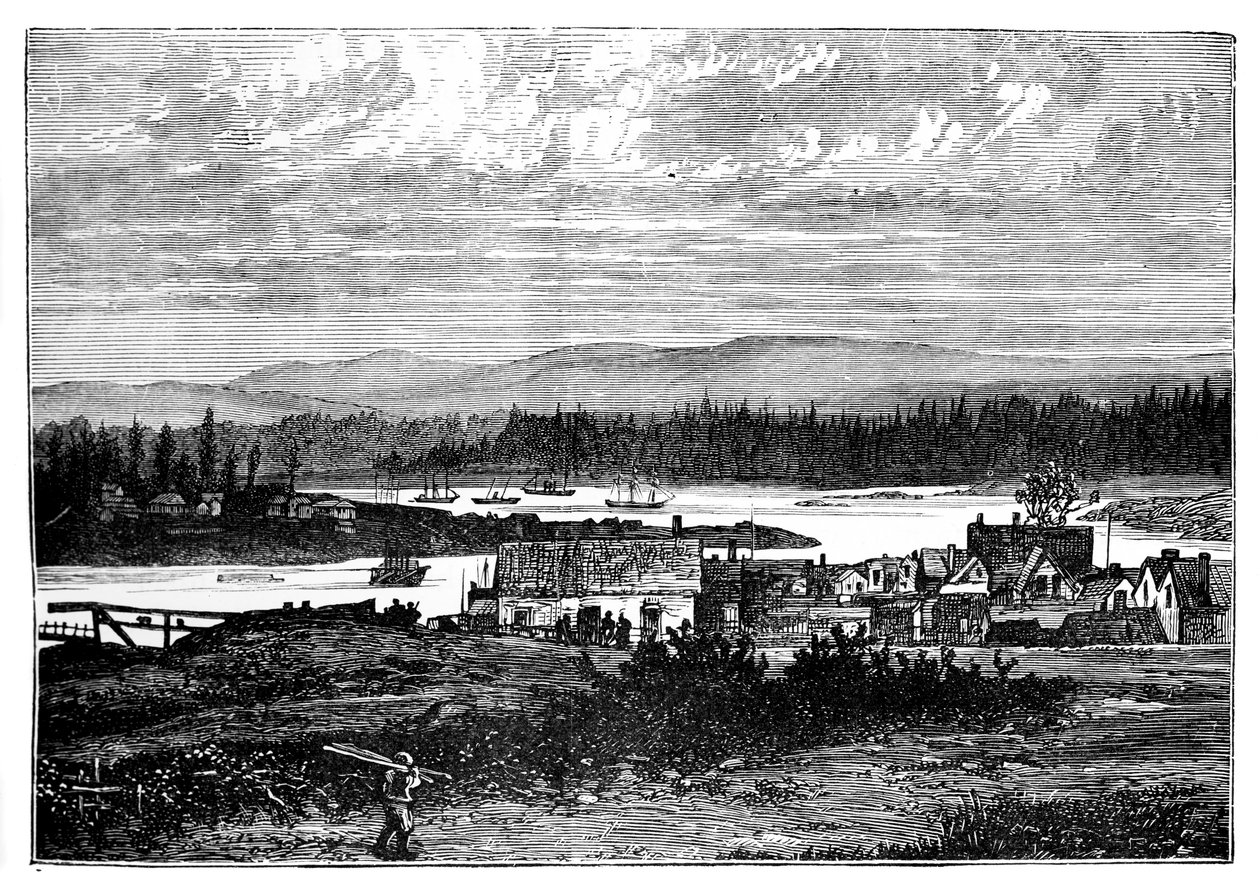 The Western Suburbs of Victoria, Vancouver Island, Kanada, c1888 av Unbekannt