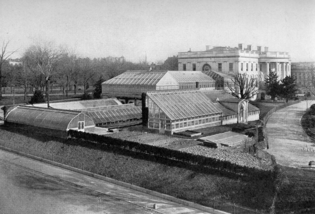 Vita huset och växthusen, Washington DC, USA, 1908 av Unbekannt
