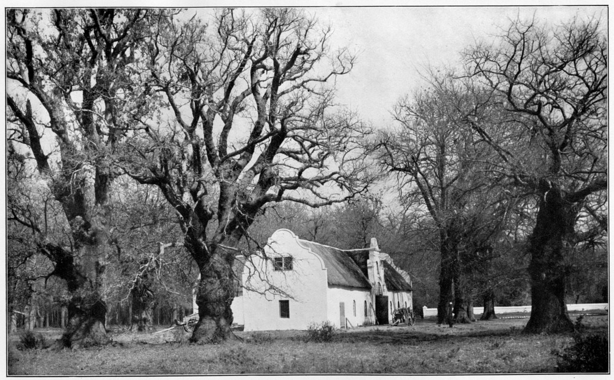 Källaren på vingården Vergelegen, Sydafrika, 1931 av Unbekannt