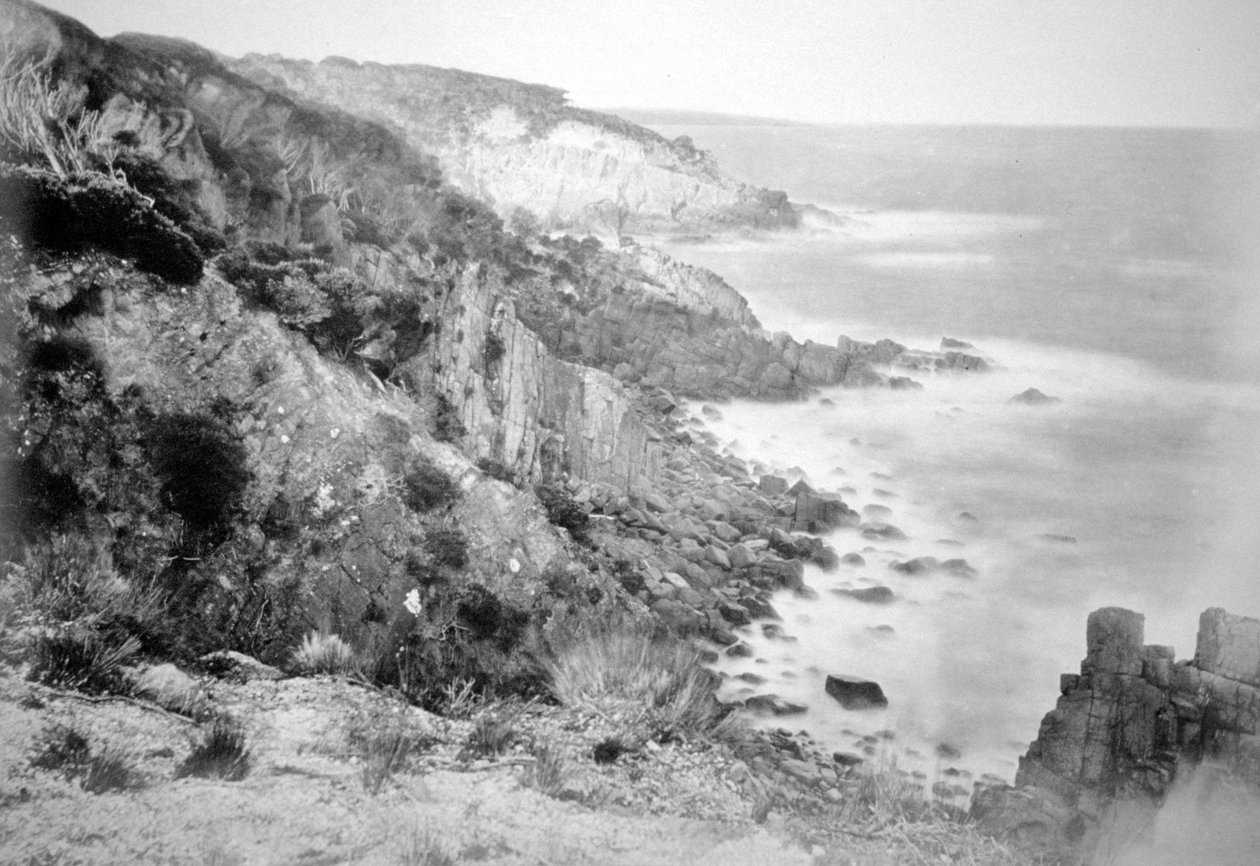 Kusten runt Port Jackson, New South Wales, Australien, 1885 av Unbekannt