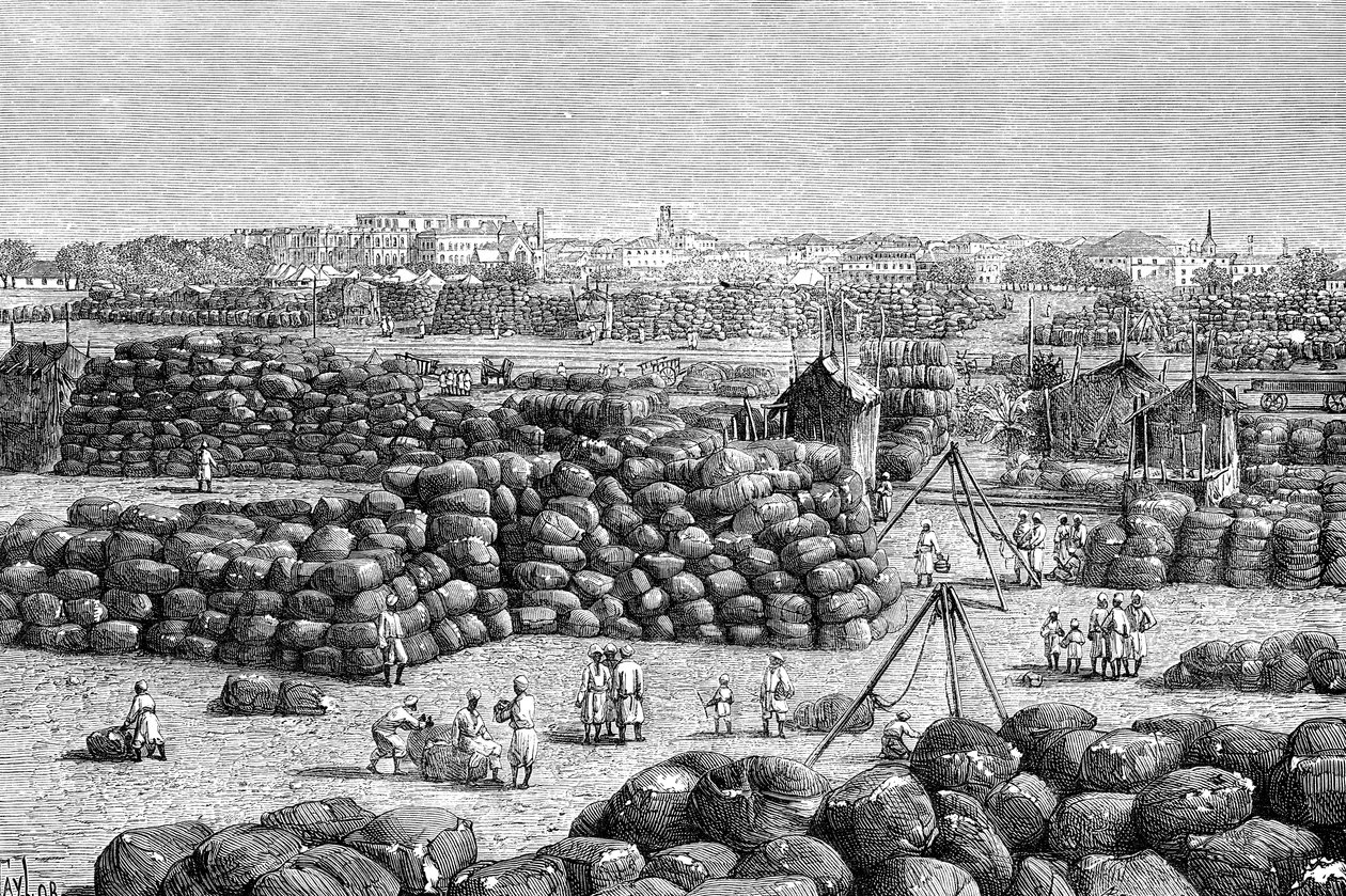 Bomullsmarknaden i Bombay, Indien, 1895 av Unbekannt