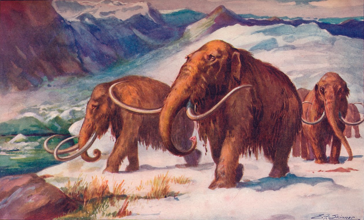 Den tidiga istiden, när mammutar strövade omkring på jorden och människan uppstod, 1907 av Unbekannt