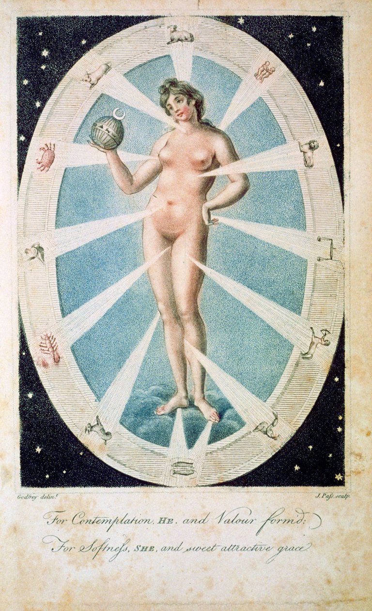 Den kvinnliga formen med astrologiska symboler, 1790 av Unbekannt
