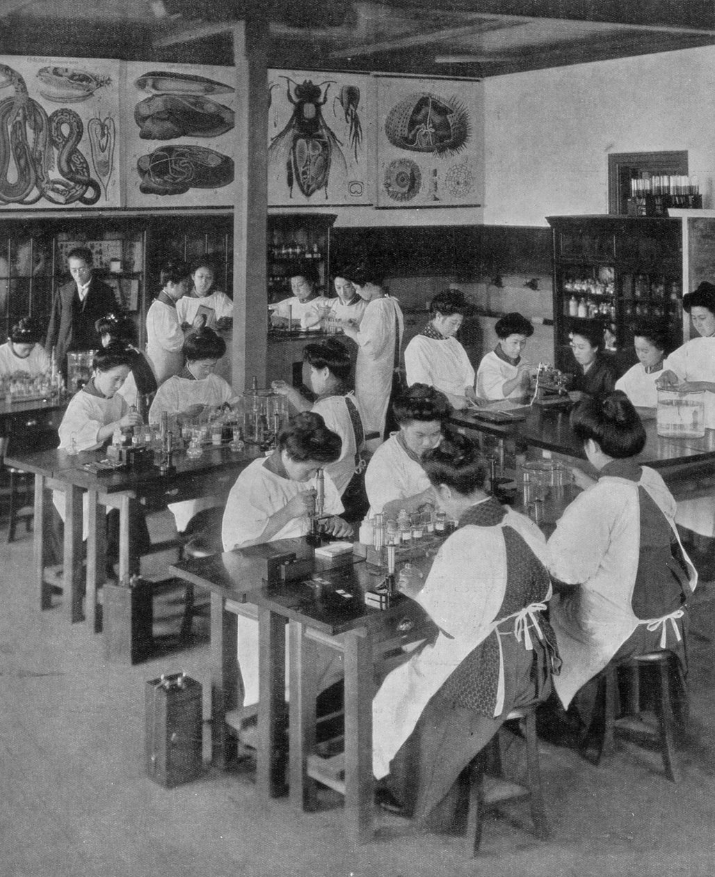 Kvinnors högre utbildning i Japan, 1910 av Unbekannt