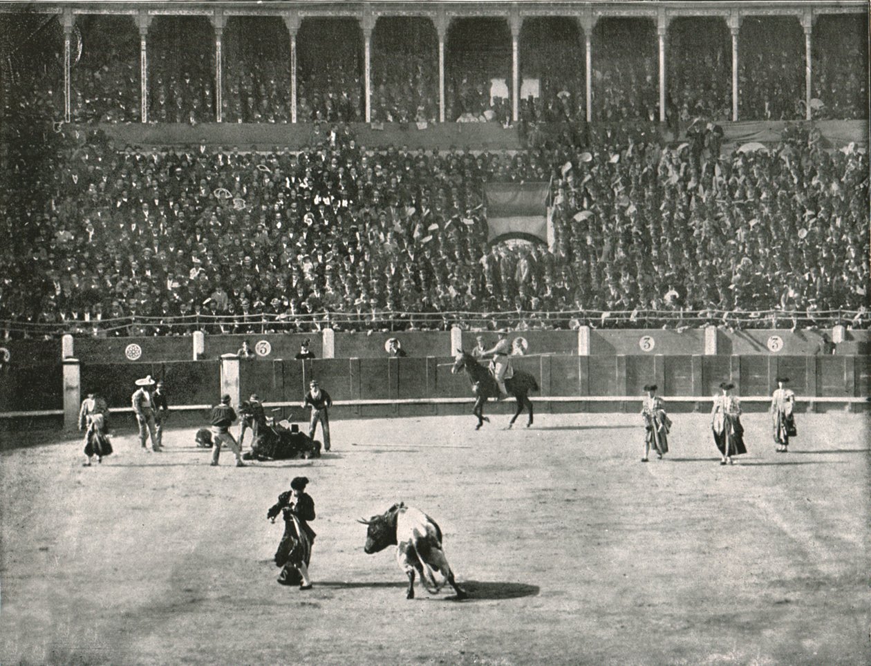 Interiören av tjurfäktningsarenan, Madrid, Spanien, 1895. av Unbekannt