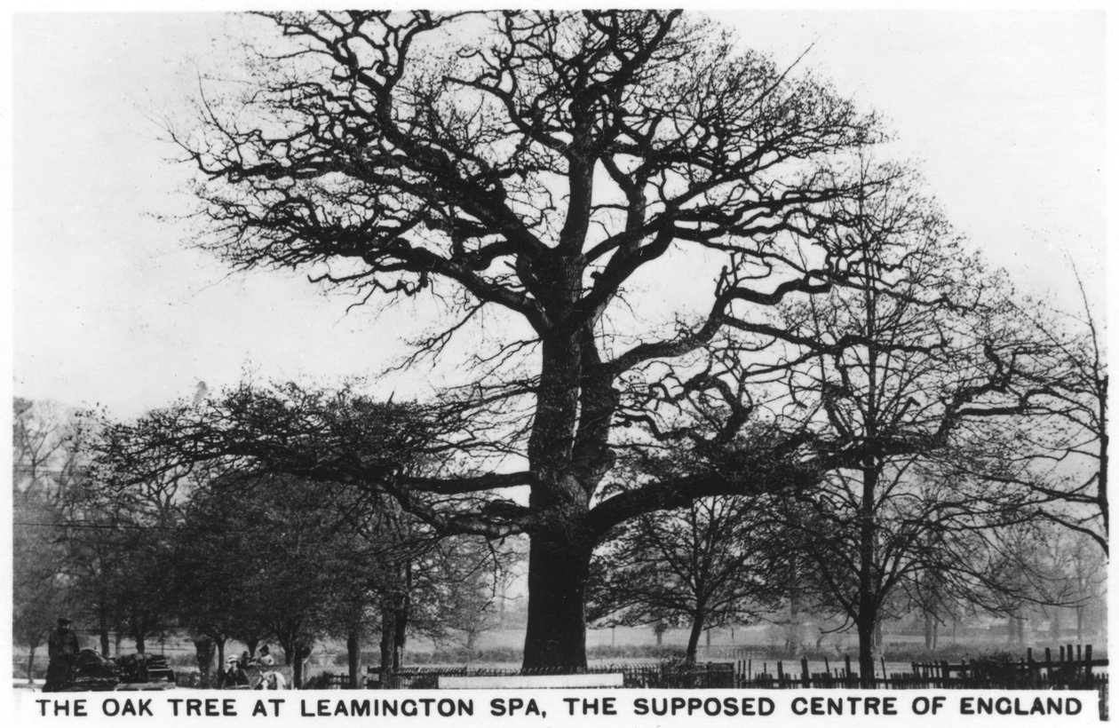 Eken på Leamington Spa, Englands förmodade centrum, 1936 av Unbekannt