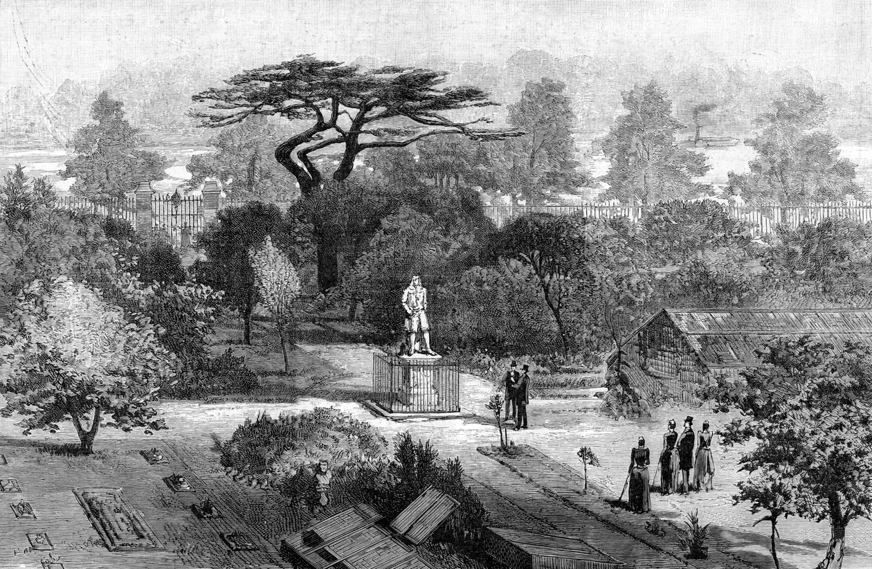 Den gamla fysiska trädgården, Chelsea, 1890 av Unbekannt