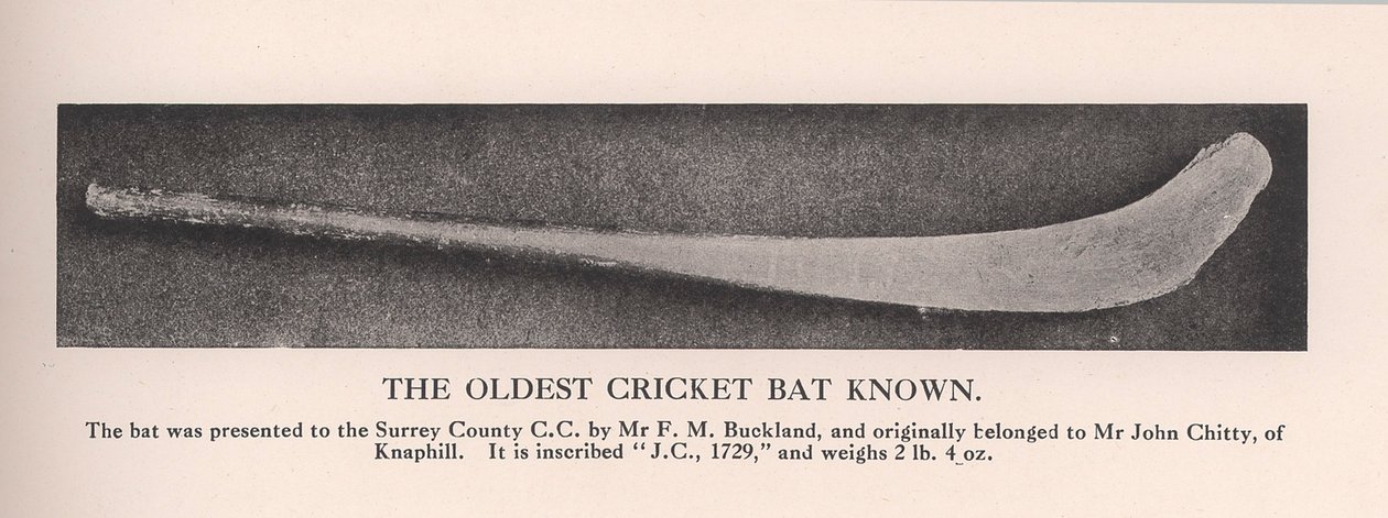 Den äldsta kända cricketfladdermusen, 1912. av Unbekannt