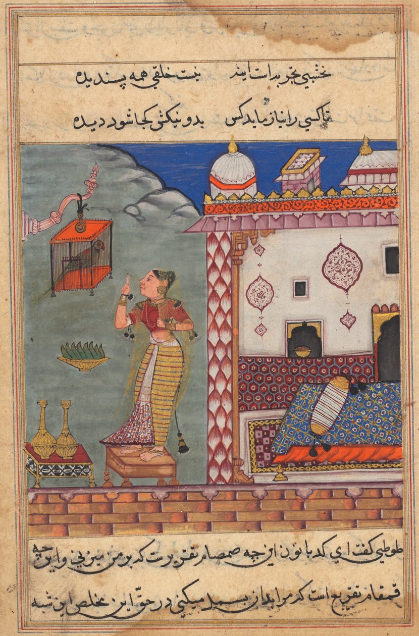 Papegojan tilltalar Khujasta i början av den tjugosjunde natten, recto av folio 185...c15 av Unbekannt