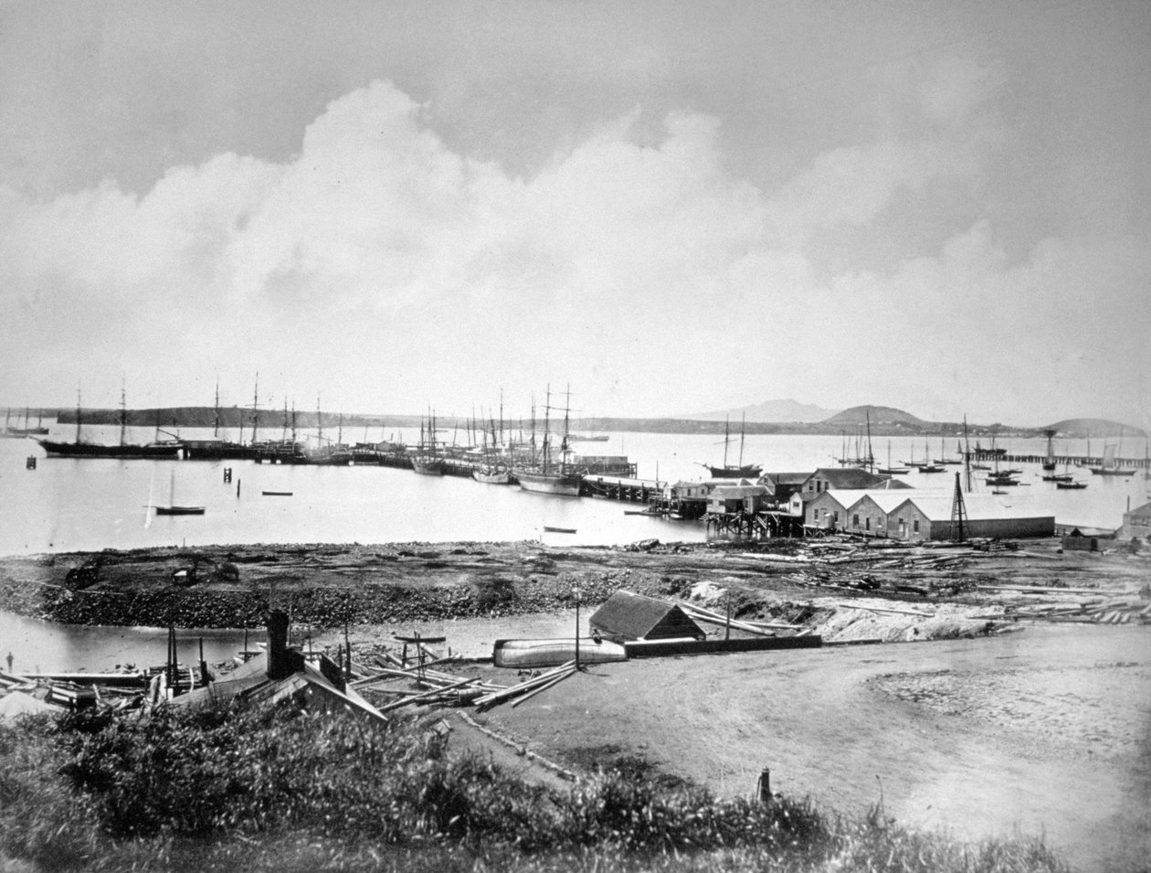 Hamnen, Auckland, Nya Zeeland, c1870-1880 av Unbekannt