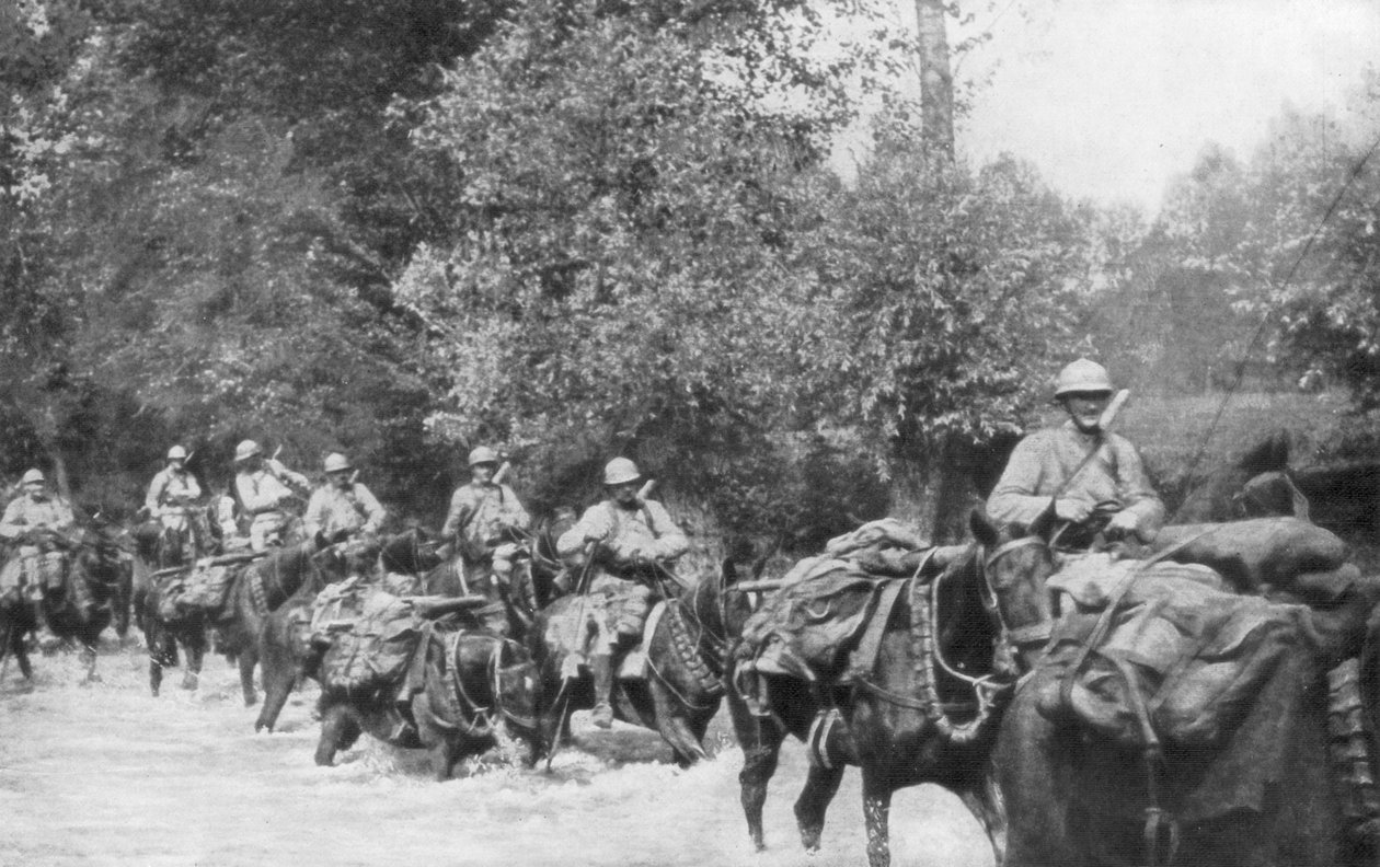Återförsörjningen av en maskingevärsenhet till häst, Aisne, Frankrike, 2 september 1918 av Unbekannt