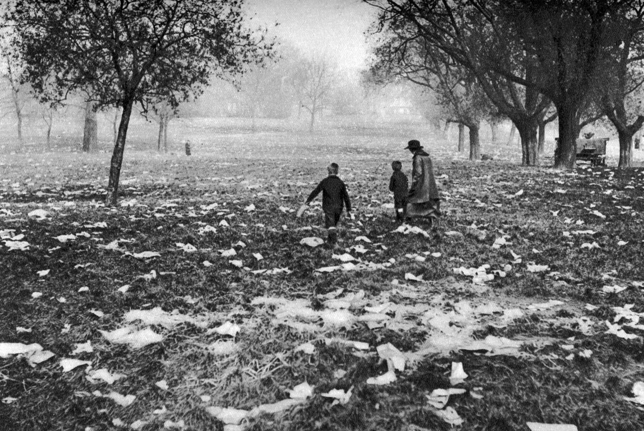 Skräpet som lämnades på Hampstead Heath efter en helgdag, London, 1926-1927 av Unbekannt